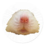 Jasper Rat Sticker