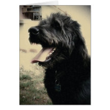 Jasper smiles card