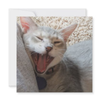 Jasper Yawning Kitten Photo Square Invitation