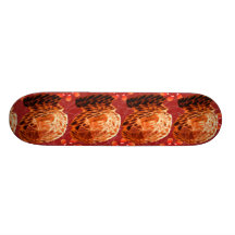 Jaunldzy Skateboard Decks