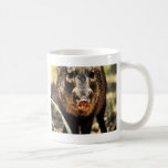 Javelina Mug