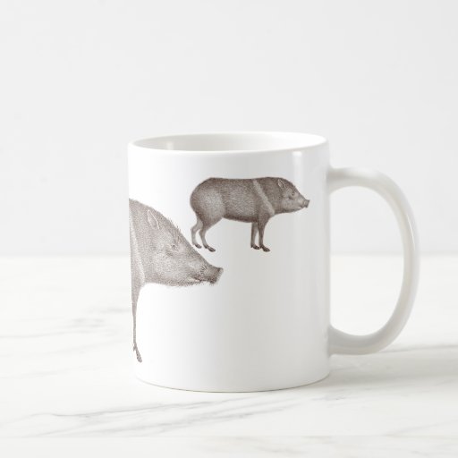 Javelinas Collared Peccaries Unique Arizona Mug