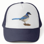 JAY 1 HAT