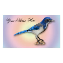 JAY #7 BUSINESS CARD TEMPLATE