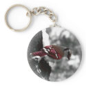 Jay Bird Key Chain keychains