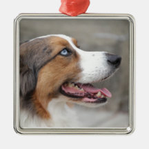 Jayke - blue merle Cardigan Welsh Corgi Christmas Ornament
