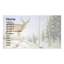 Jay's Peak, White Tail Deer business cards