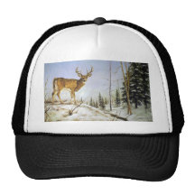 Jay's Peak, White Tail Deer Hats