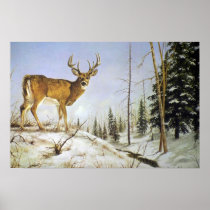 Jay's Peak, White Tail Deer Posters