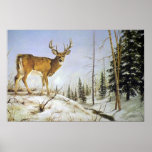 Jay's Peak, White Tail Deer Posters
