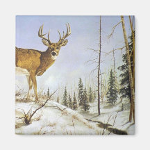 Jay's Peak, White Tail Deer Refrigerator Magnet