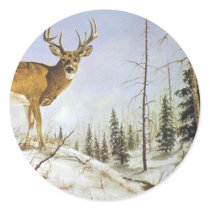 Jay's Peak, White Tail Deer Sticker