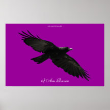 JE SUIS affiche noire volante d'art de RAVEN III R