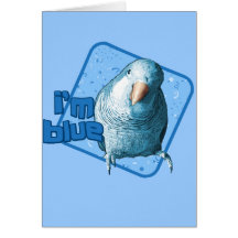 Je suis carte bleue de perruche de quaker
