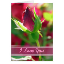 Je t'aime bourgeon de rose rouge carte de vœux