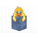 Jean Pocket Baby Duck postcards