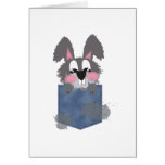 Jean Pocket Dust Bunny cards