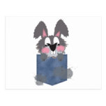 Jean Pocket Dust Bunny postcards