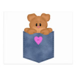 Jean Pocket Teddy Bear postcards