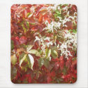 Jeepers Creepers mousepads