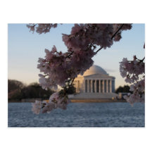Jefferson Memorial Postcard