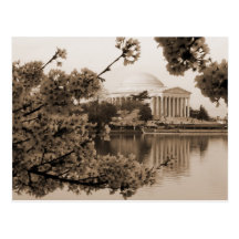 Jefferson Memorial Postcard