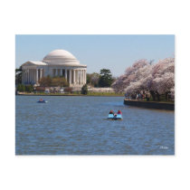 Jefferson Memorial Washington DC Postcards