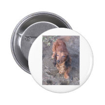 Jefferson Pinback Button