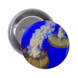 jelly fish  button