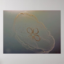 Jelly Posters