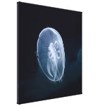 Jellyfish Bright Translucent Blue Wrapped Canvas Canvas Print
