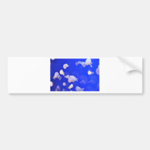 Jellyfish Bumper Sticker