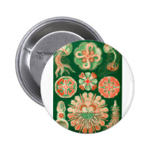Jellyfish Button