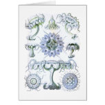 Jellyfish Card