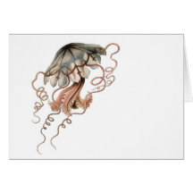 Jellyfish Card