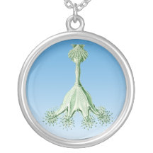 Jellyfish Custom Jewelry