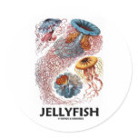 Jellyfish (Ernest Haeckel's Artforms Of Nature) Stickers