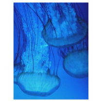 jellyfish custom flyer
