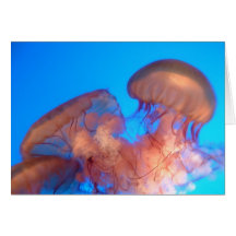 jellyfish greeting cards