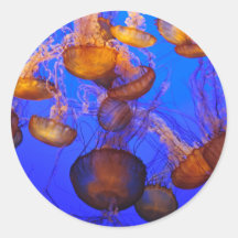 Jellyfish Mess Stickers
