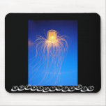 Jellyfish Mousepads
