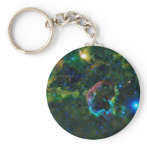 Jellyfish Nebula Supernova Remnant IC 443