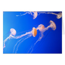 Jellyfish Note Card