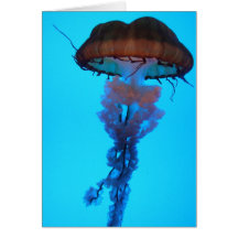 Jellyfish Notecard