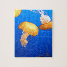 Jellyfish Photo Puzzles