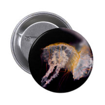 Jellyfish Pin