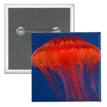 Jellyfish Pinback Button