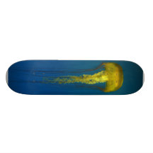 Jellyfish Skateboards