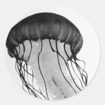Jellyfish Sticker
