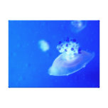 Jellyfish Stretched Canvas Print